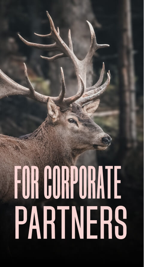 corporate partners