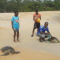 Continuing to Safeguard Threatened Species in Côte d'Ivoire 46 Continuing to Safeguard Threatened Species in Côte d’Ivoire