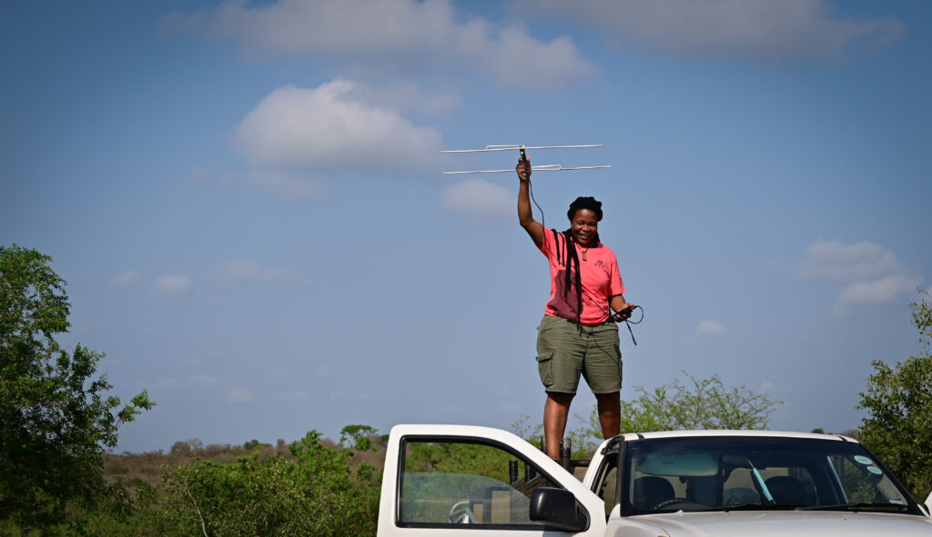 SOS African Wildlife 5 Monitoring priority species