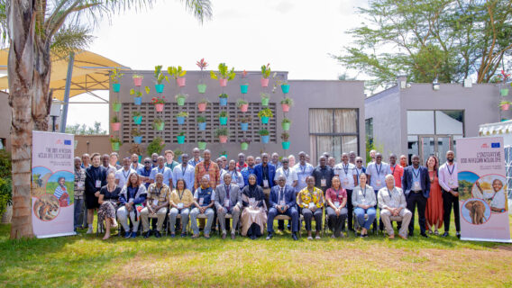 Participants of the SOS African Wildlife initiative lessons learned workshop