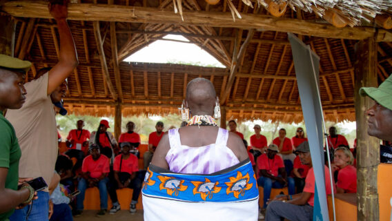 SOS African Wildlife initiative lessons learned workshop